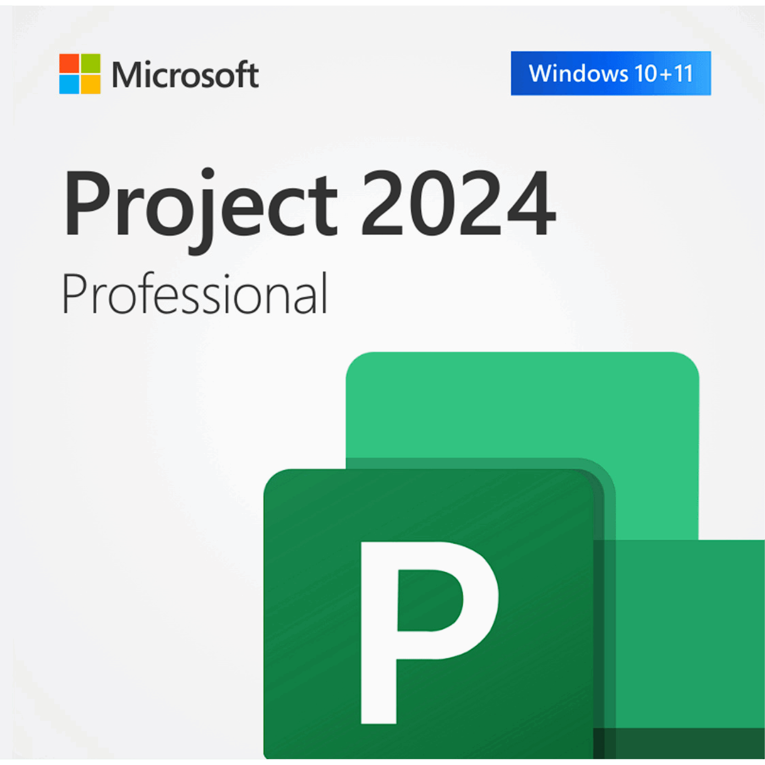 Microsoft Project Professional 2024 (1 PC) | TrabsEnterprises Microsoft Project Professional 2024 (1 PC)